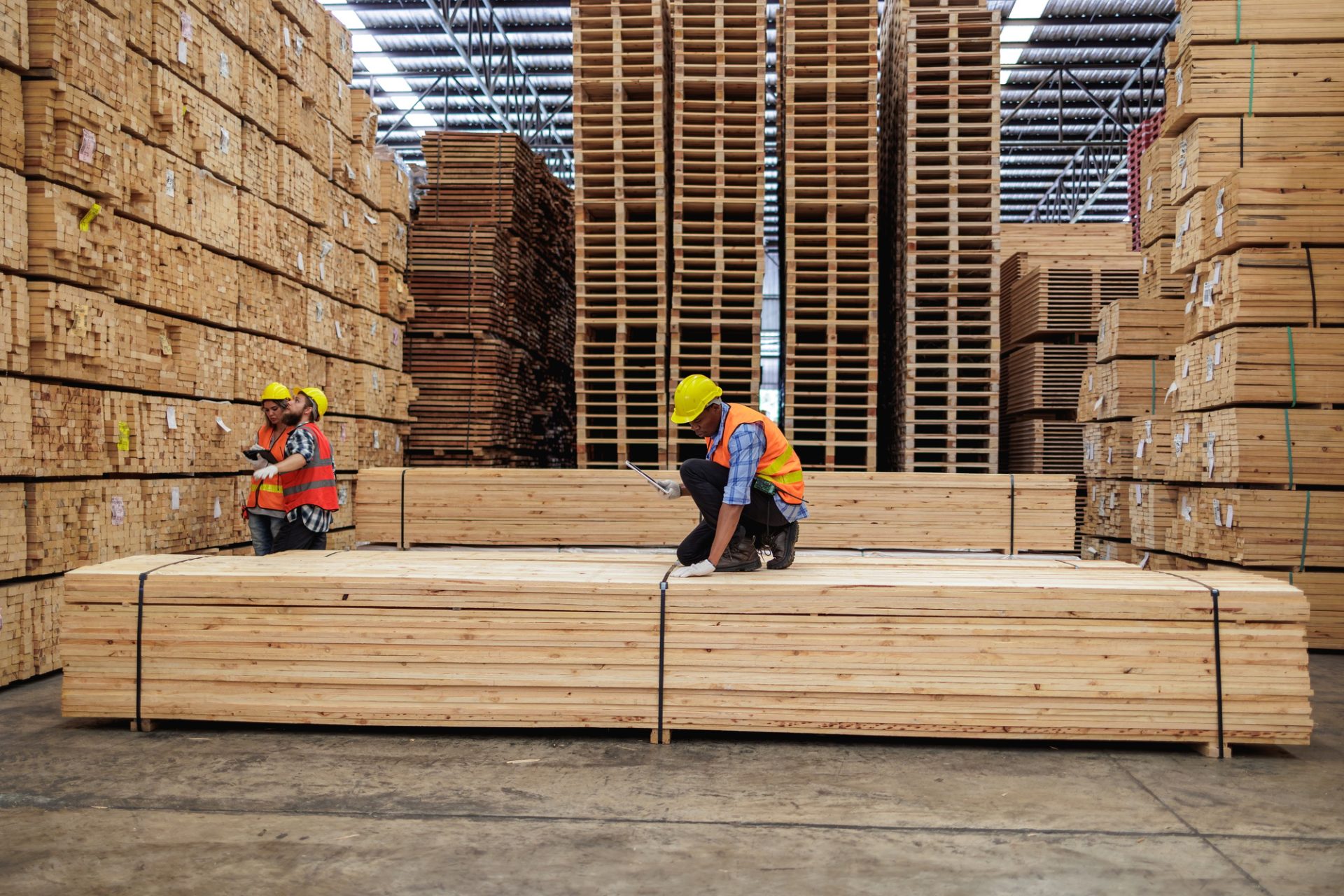 Inventory Management, Workers Measuring and Assessing Lumber Stock